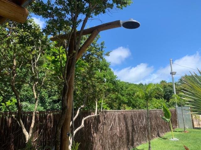 Bons Ventos Camping E Glamping 巴拉格兰德 外观 照片